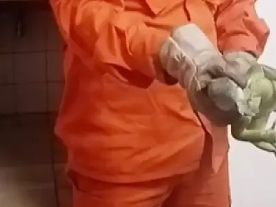 Corpo de Bombeiros captura iguana no Museu do Porto Geral