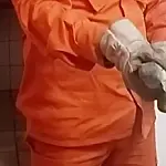 Corpo de Bombeiros captura iguana no Museu do Porto Geral