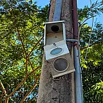 Semáforos de Corumbá sofrem vandalismo e geram risco no trânsito