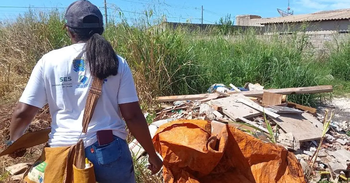 1º LIRAa de 2026 alerta para alto risco de dengue em municípios de MS