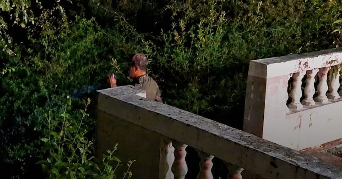 PMA intensifica monitoramento de onças em áreas urbanas de Corumbá