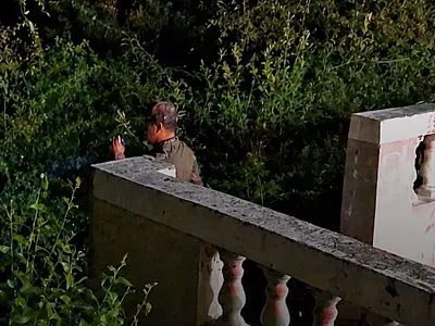 PMA intensifica monitoramento de onças em áreas urbanas de Corumbá