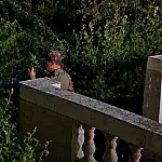 PMA intensifica monitoramento de onças em áreas urbanas de Corumbá