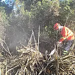 Incêndio florestal na região da Curva do Leque mobiliza Bombeiros