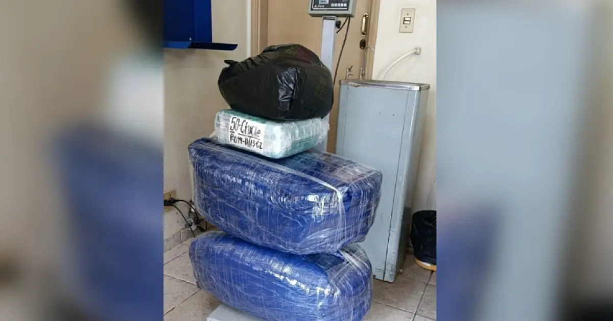 Bolivianos são  presos com 124 kg de folhas de coca em ônibus clandestino que saiu de MS