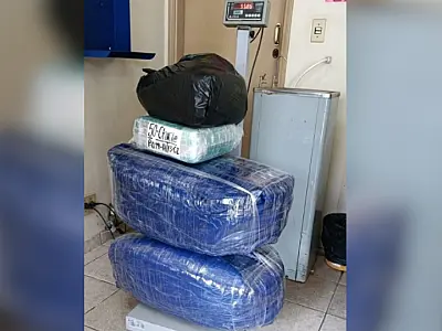 Bolivianos são  presos com 124 kg de folhas de coca em ônibus clandestino que saiu de MS