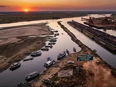 A engenharia da seca no Pantanal