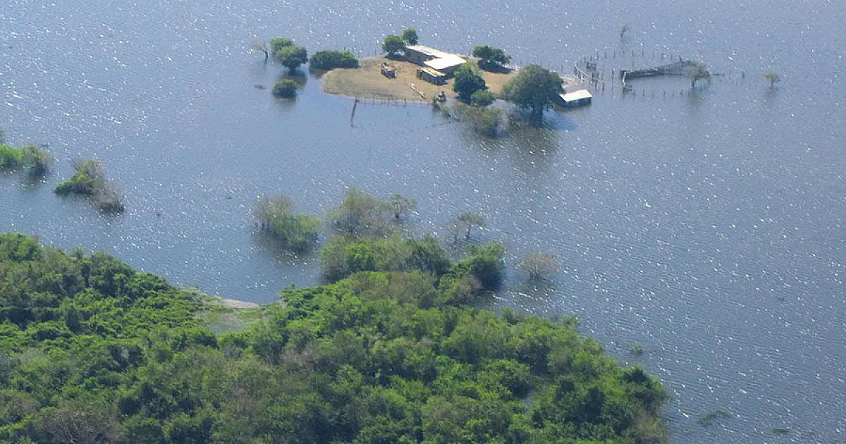 Cheia no Pantanal segue tímida e rios não alcançam média histórica