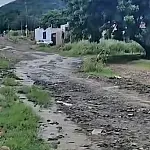Drenagem e pavimentação da Rua Amazonas é solicitada por Cazarin