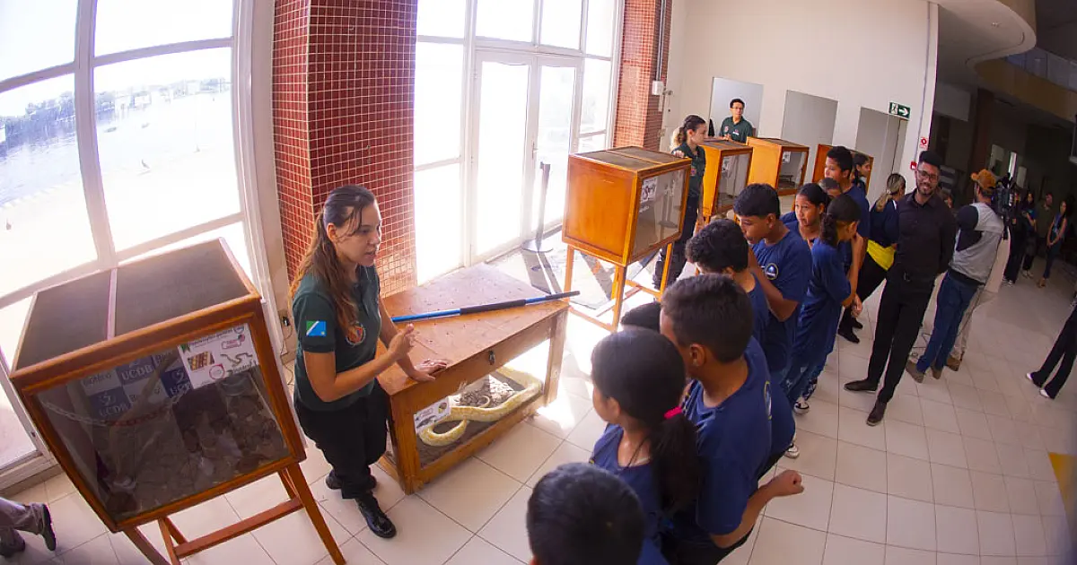 Workshop sobre animais peçonhentos reúne especialistas no Pantanal