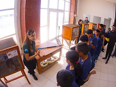 Workshop sobre animais peçonhentos reúne especialistas no Pantanal