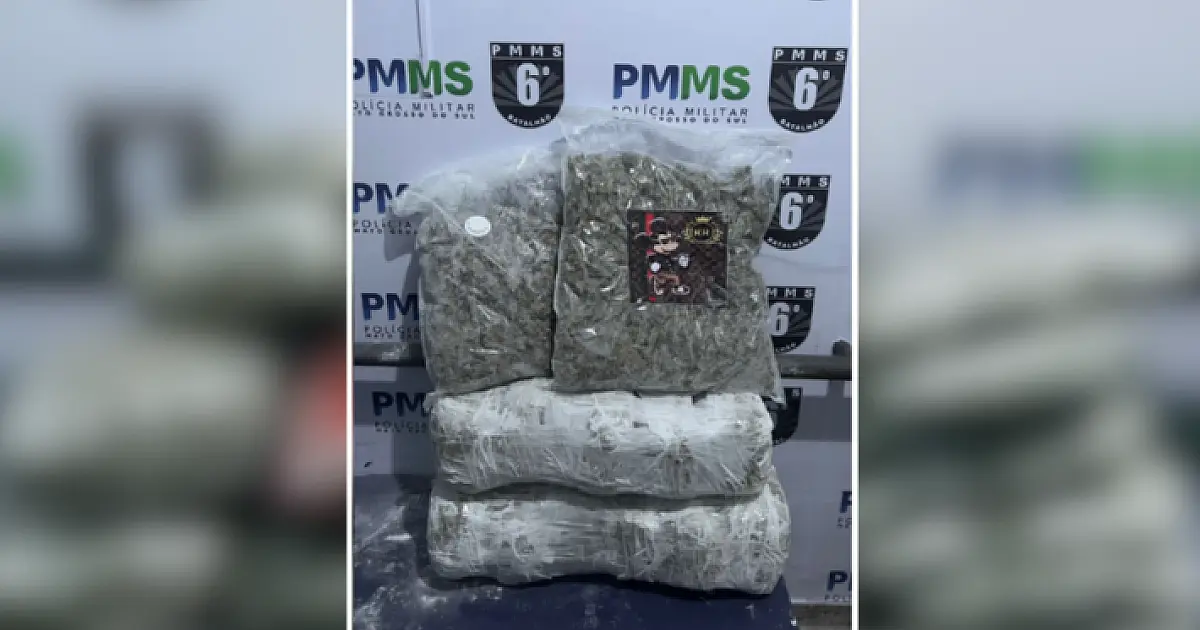 Adolescente de São Paulo é apreendido com 16 kg de skunk na BR 262
