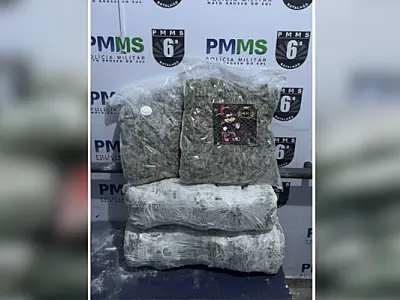 Adolescente de São Paulo é apreendido com 16 kg de skunk na BR 262