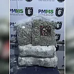 Adolescente de São Paulo é apreendido com 16 kg de skunk na BR 262
