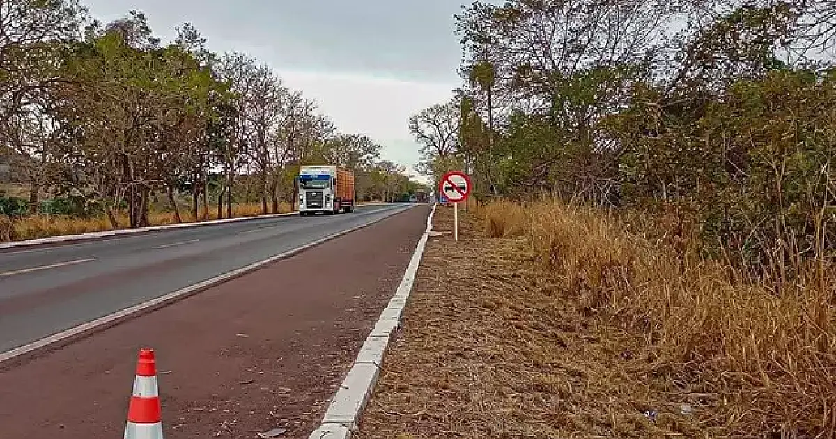 BR-262: DNIT lança licitação de R$ 11,6 Mi para projetos de duplicação, mas exclui Corumbá