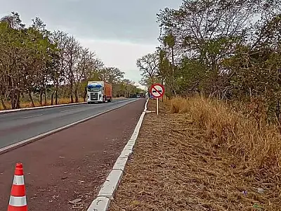 BR-262: DNIT lança licitação de R$ 11,6 Mi para projetos de duplicação, mas exclui Corumbá