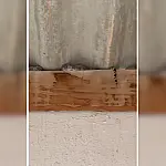 Jiboia em telhado de garagem assusta moradores do bairro Nova Corumbá