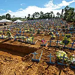 Negacionismo fez brasileiros "perderem" 3,4 anos de vida na pandemia