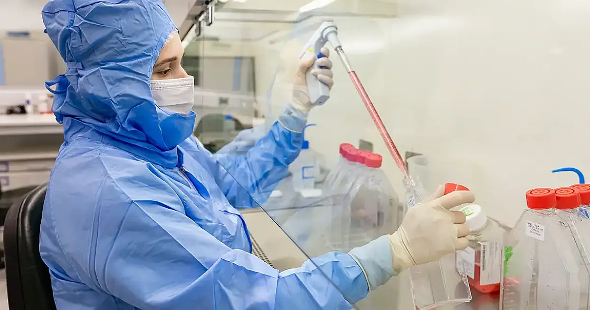 Estudo usa células-tronco contra complicações do transplante de medula