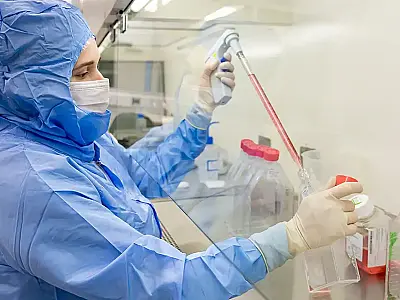 Estudo usa células-tronco contra complicações do transplante de medula