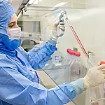 Estudo usa células-tronco contra complicações do transplante de medula