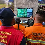 Brasil e Bolívia unem forças para formação e combate a incêndios no Pantanal