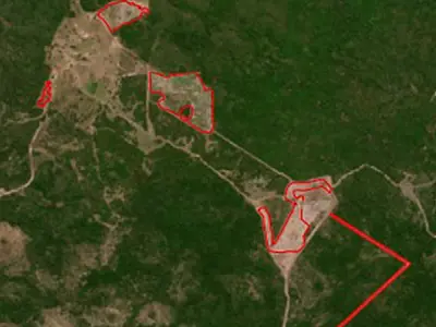 Desmate ilegal de 97 hectares no Pantanal gera acordo em Corumbá