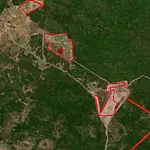 Desmate ilegal de 97 hectares no Pantanal gera acordo em Corumbá