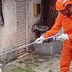 Sucuri de 3 metros é resgatada em cozinha de residência em Ladário