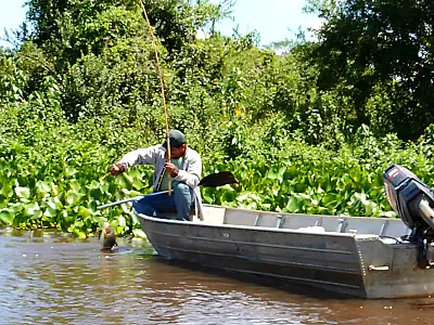 Pesquisas ajudam a moldar regras da pesca no Pantanal