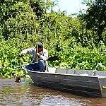 Pesquisas ajudam a moldar regras da pesca no Pantanal