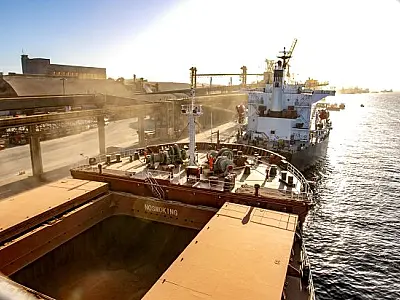 Exportações de Mato Grosso do Sul crescem 6,26% e atingem US$ 3,61 Bilhões