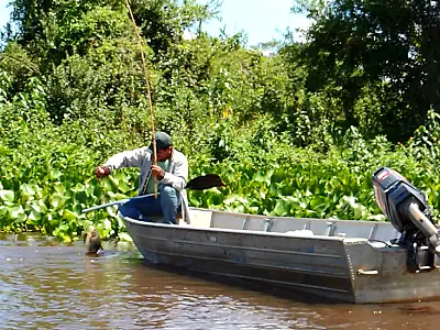 Pesquisas subsidiam políticas públicas de Pesca no Pantanal
