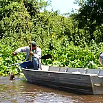 Pesquisas subsidiam políticas públicas de Pesca no Pantanal