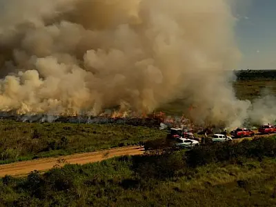 Queima controlada tenta evitar novos incêndios em parque de MS