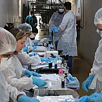 DNA de presos amplia banco genético e reforça investigações