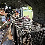 Onça Corumbella avança por áreas remotas do Parque Nacional do Pantanal