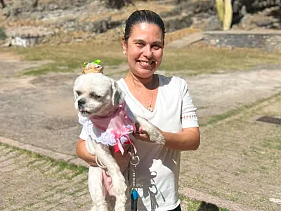 "Arraiá Bom pra Cachorro" une cultura e solidariedade animal neste sábado em Corumbá