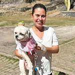 "Arraiá Bom pra Cachorro" une cultura e solidariedade animal neste sábado em Corumbá