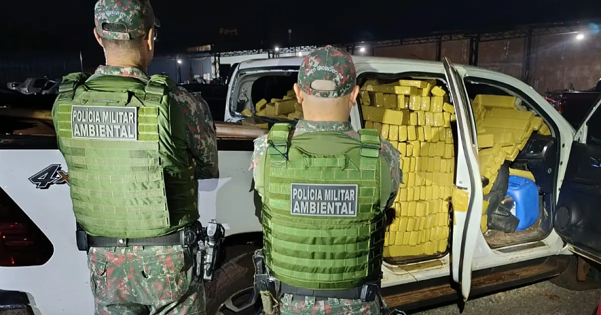 PMA inicia operação com apreensão de mais de 2 toneladas de maconha na Capital