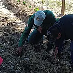 Agroflorestas em escolas do Pantanal recebem mais de 2 mil mudas