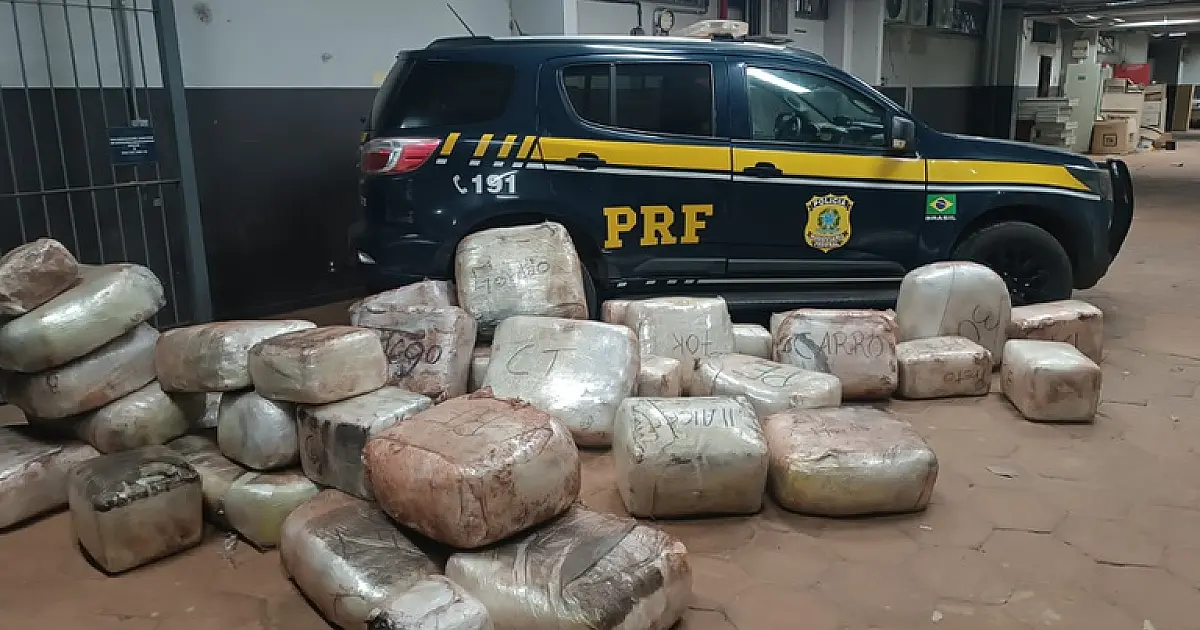 PRF apreende mais de 580 quilos de skunk e cocaína na BR-262