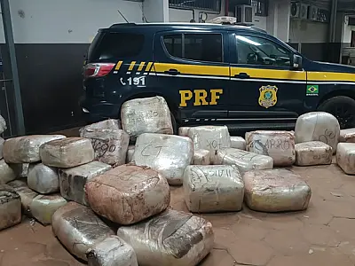 PRF apreende mais de 580 quilos de skunk e cocaína na BR-262