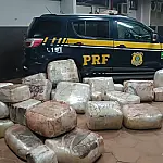 PRF apreende mais de 580 quilos de skunk e cocaína na BR-262