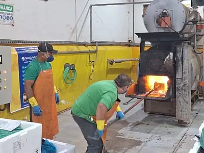 Operação destrói 1 tonelada de medicamentos irregulares em MS