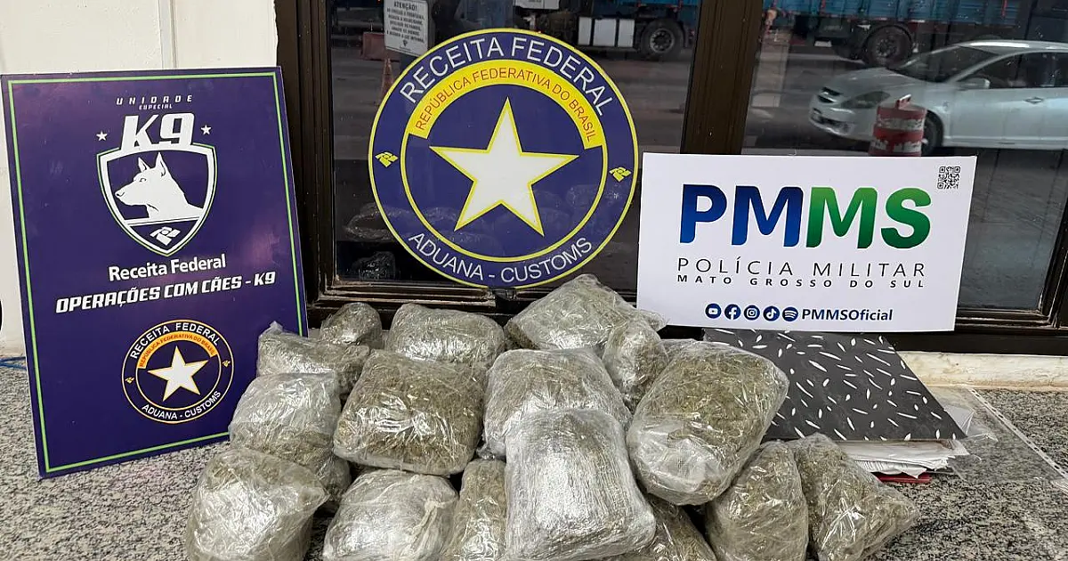 Receita Federal e PM apreendem mais de 12 kg de skunk na fronteira
