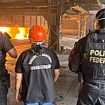Skunk lidera apreensões em carga de drogas destruída pela Polícia Federal
