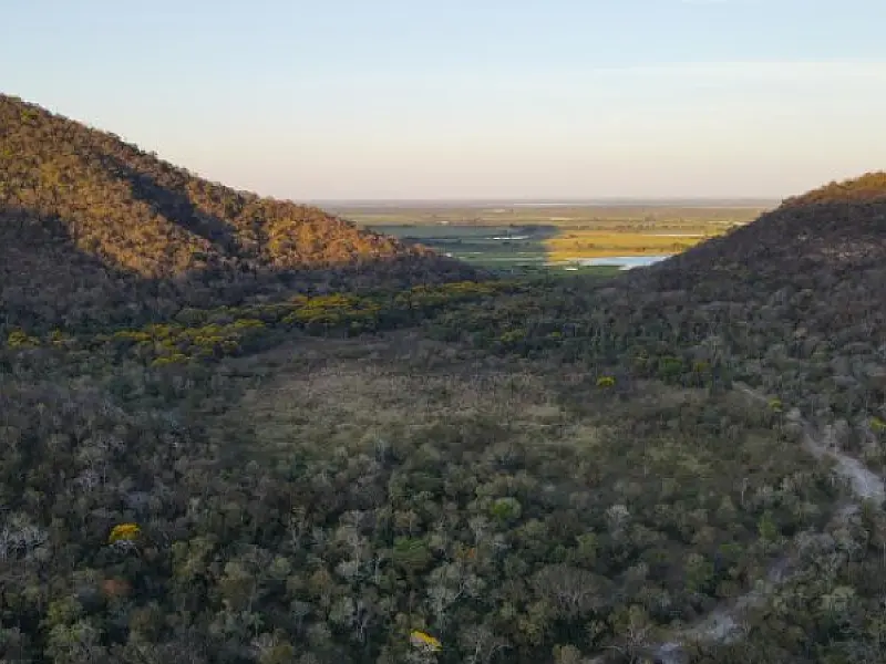 Segunda fase do PSA Pantanal anuncia novas propriedades selecionadas em julho