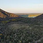Segunda fase do PSA Pantanal anuncia novas propriedades selecionadas em julho