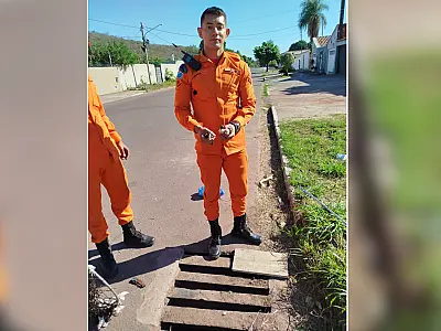 Operação paciência: Bombeiros resgatam pintinhos de bueiro de 2 metros em Corumbá